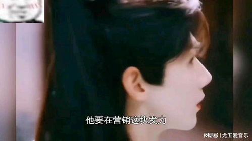 娱乐吃瓜酱19,揭秘娱乐圈背后的秘密与八卦